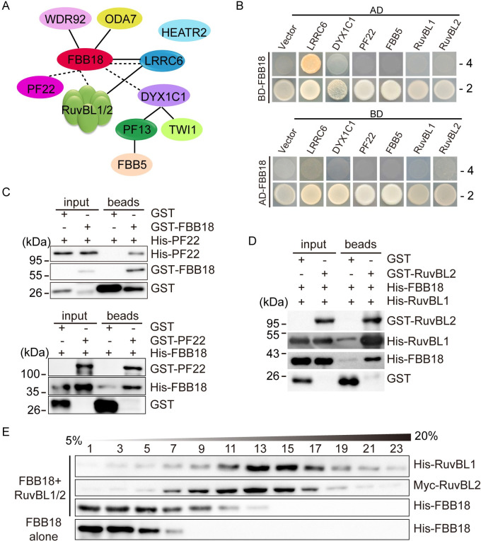 Fig 4