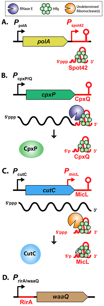 Figure 2: