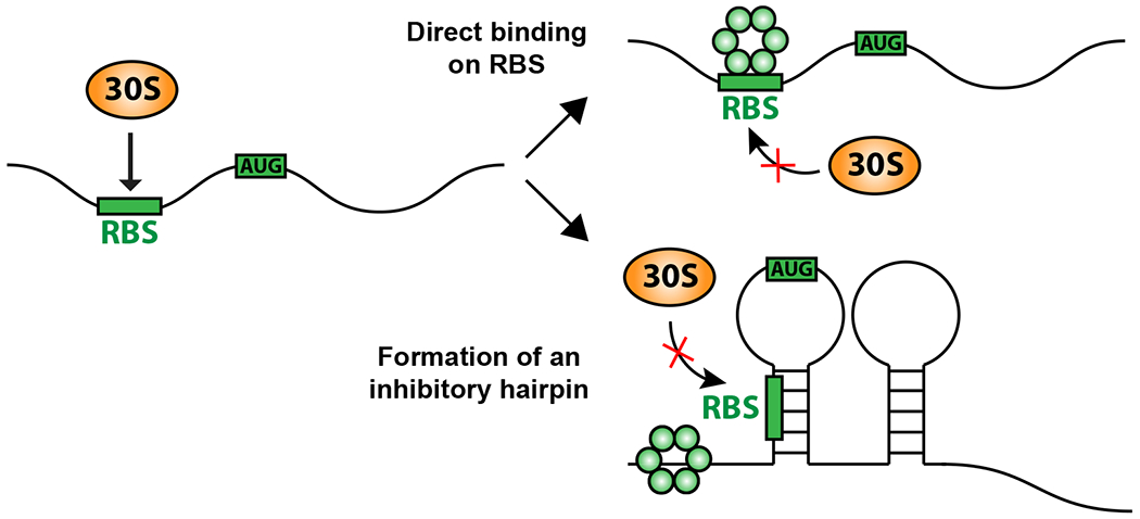 Figure 4: