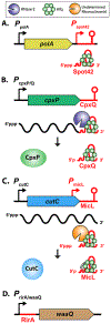 Figure 2: