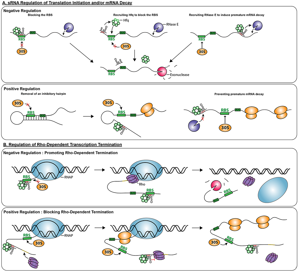 Figure 1: