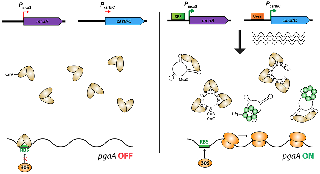 Figure 3: