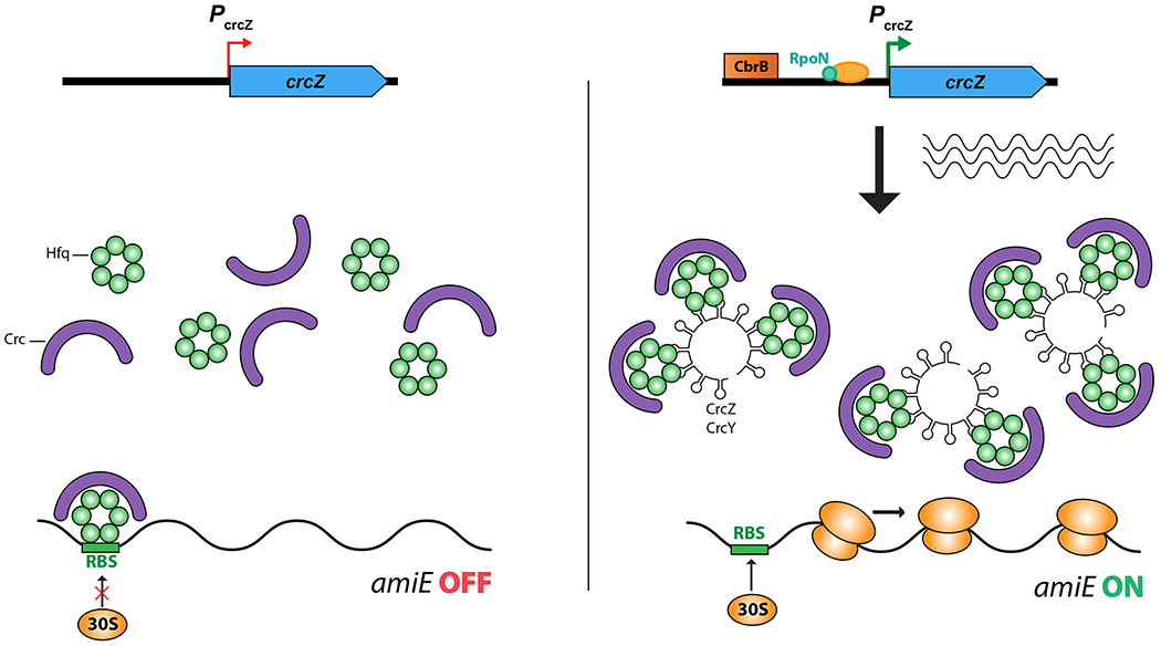 Figure 3: