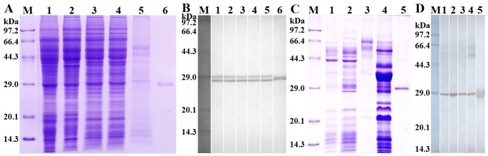 Fig 5