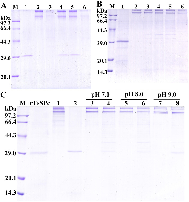 Fig 11