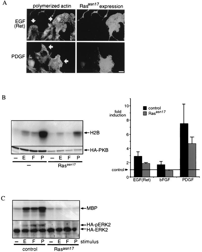 FIG. 6