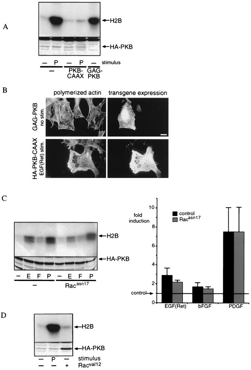 FIG. 7