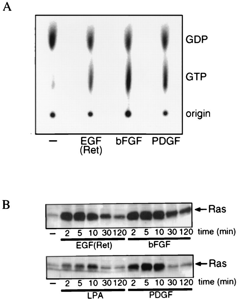 FIG. 5