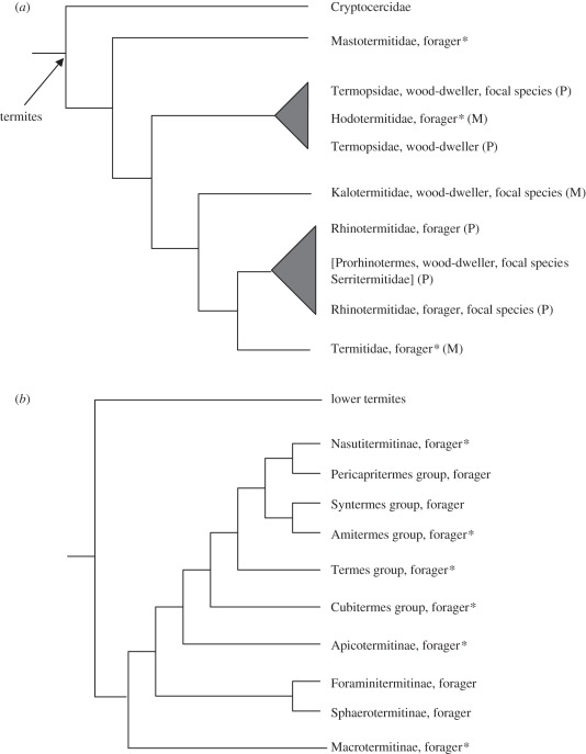 Figure 1.