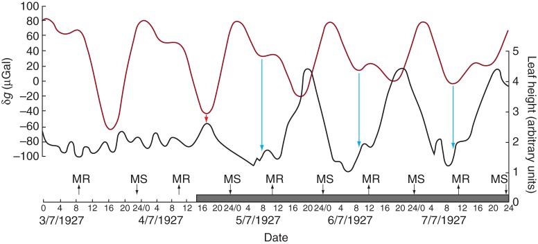 Fig. 4.