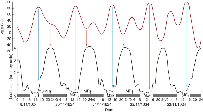 Fig. 2.