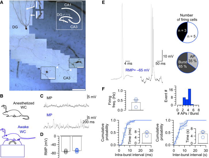 Figure 2