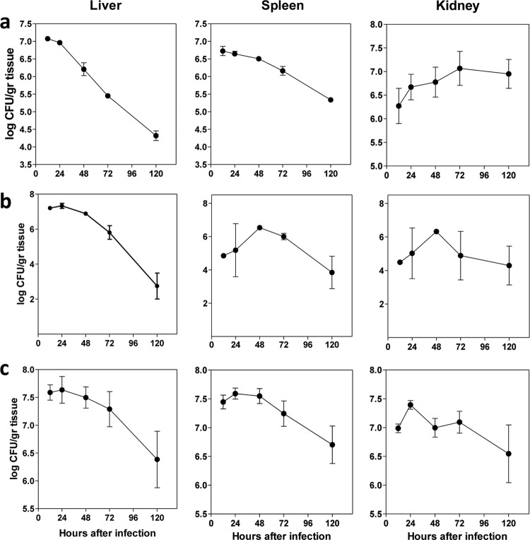 FIG 2