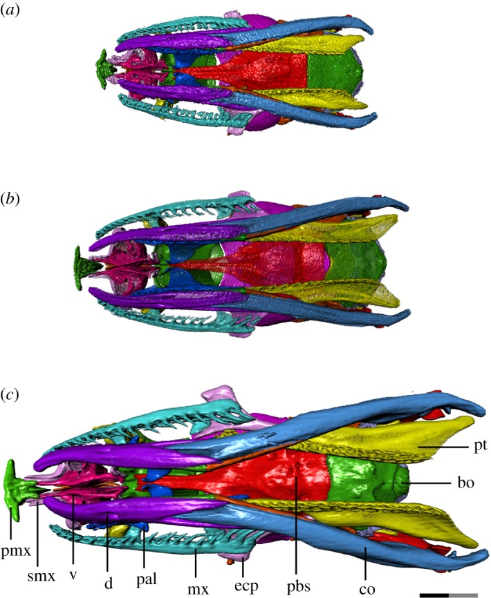 Figure 4.