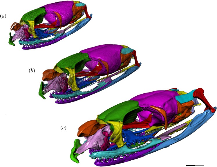 Figure 1.