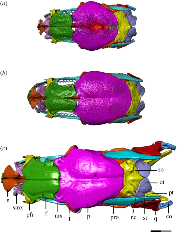 Figure 2.