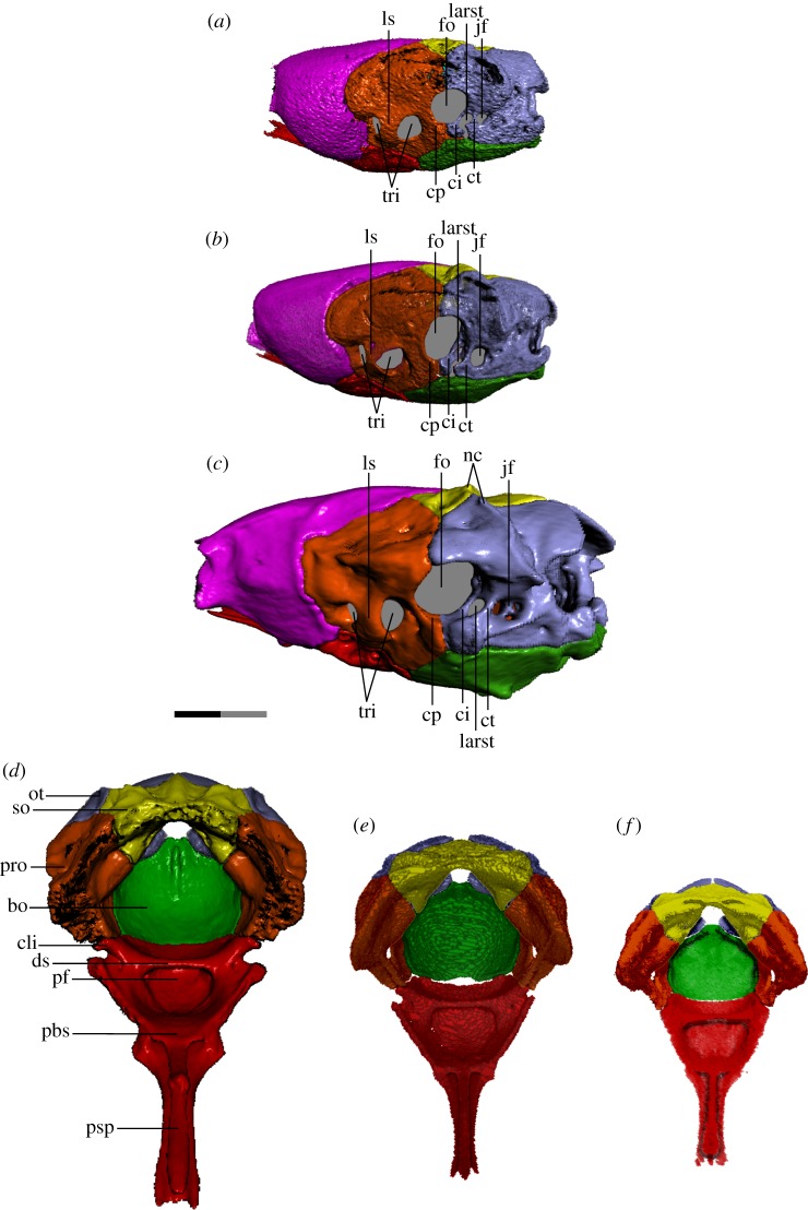 Figure 6.