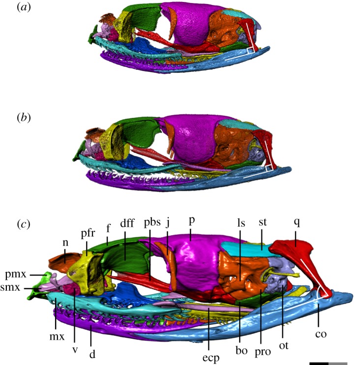 Figure 3.