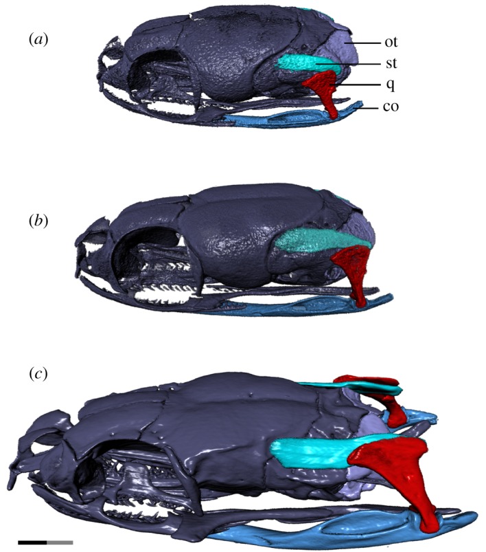 Figure 7.