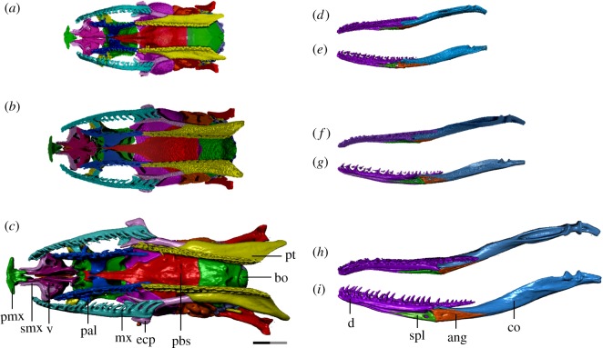 Figure 5.