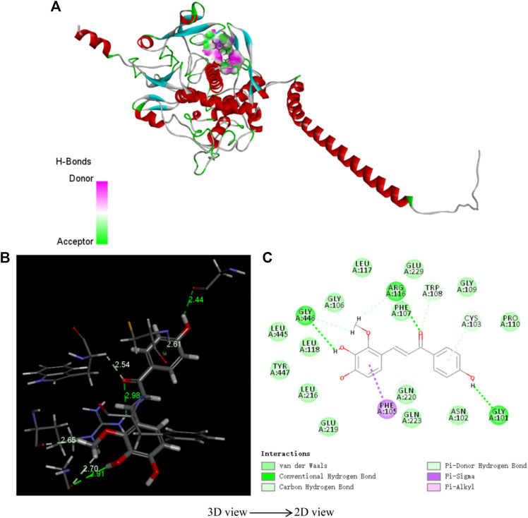 FIGURE 9