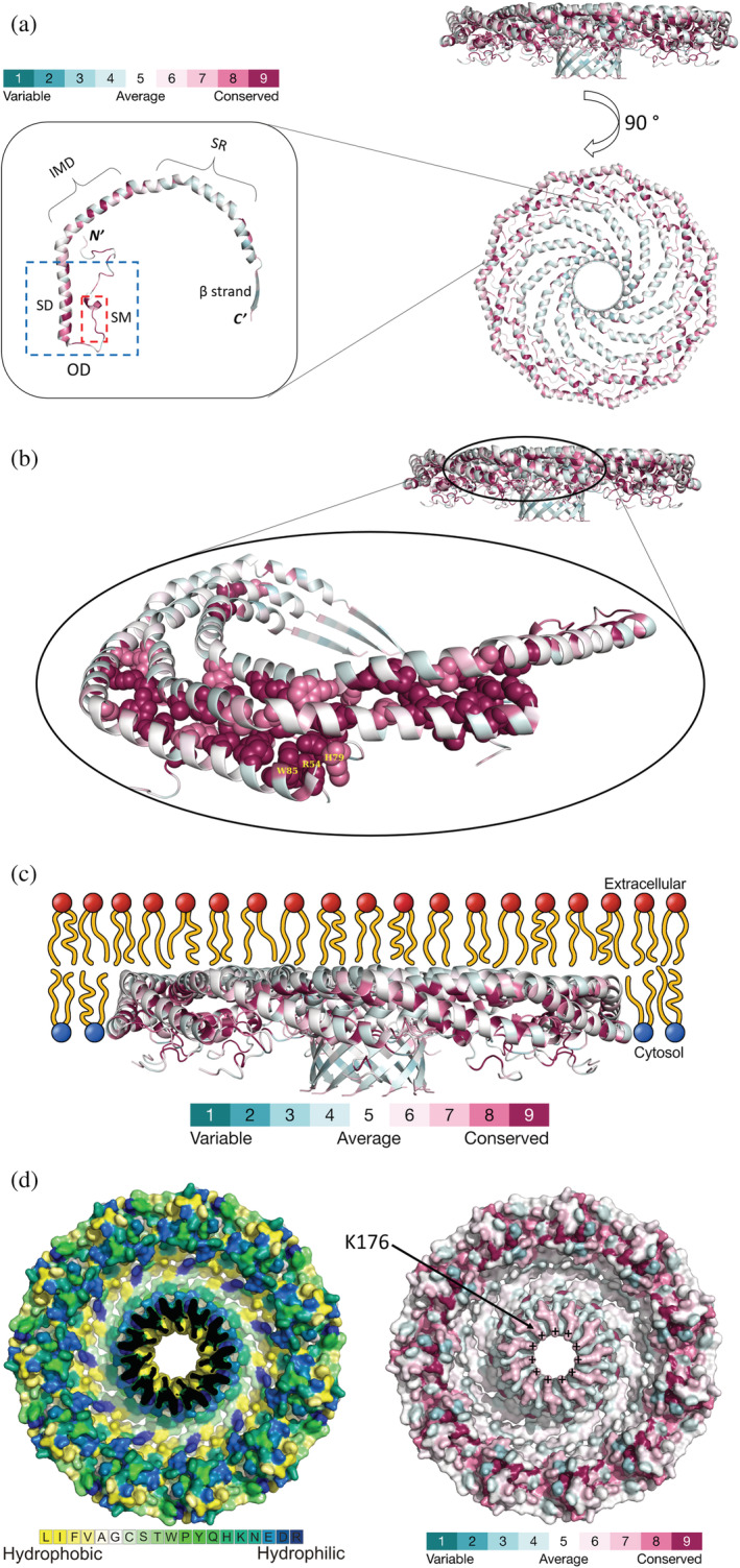 FIGURE 2