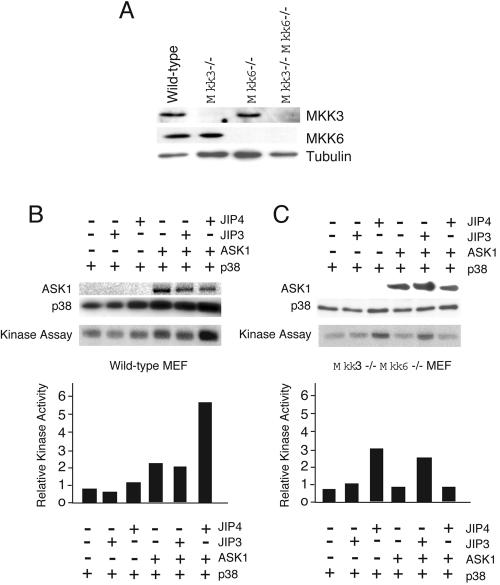 FIG. 10.