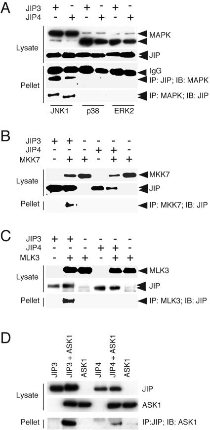 FIG. 5.