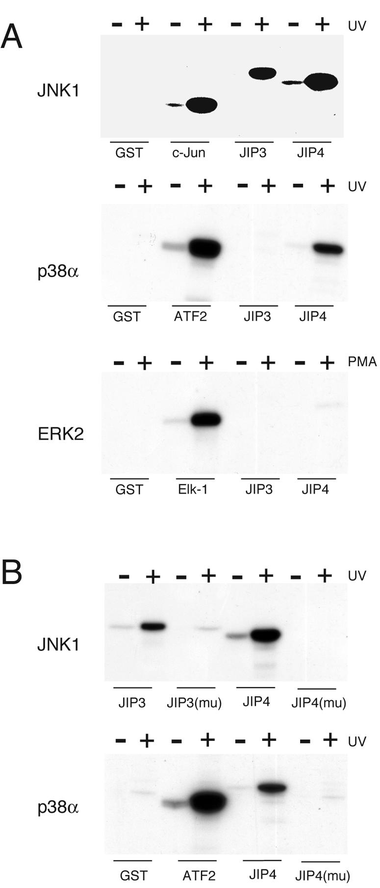 FIG. 8.