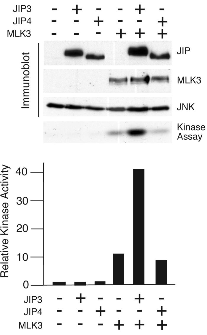 FIG. 6.