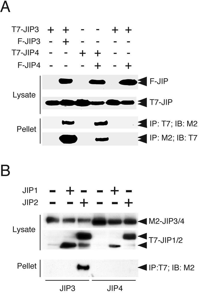 FIG. 7.