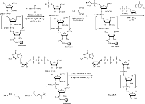 SCHEME 3.