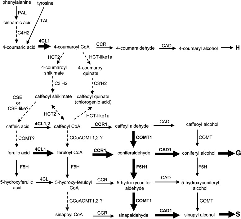 Figure 9.