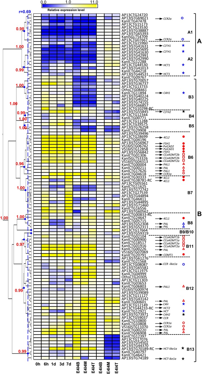 Figure 5.