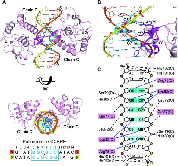 Figure 3.