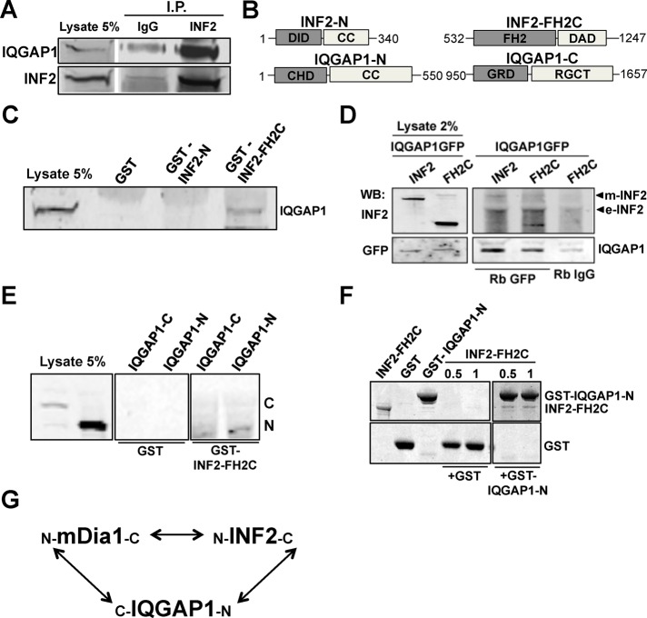 FIGURE 6: