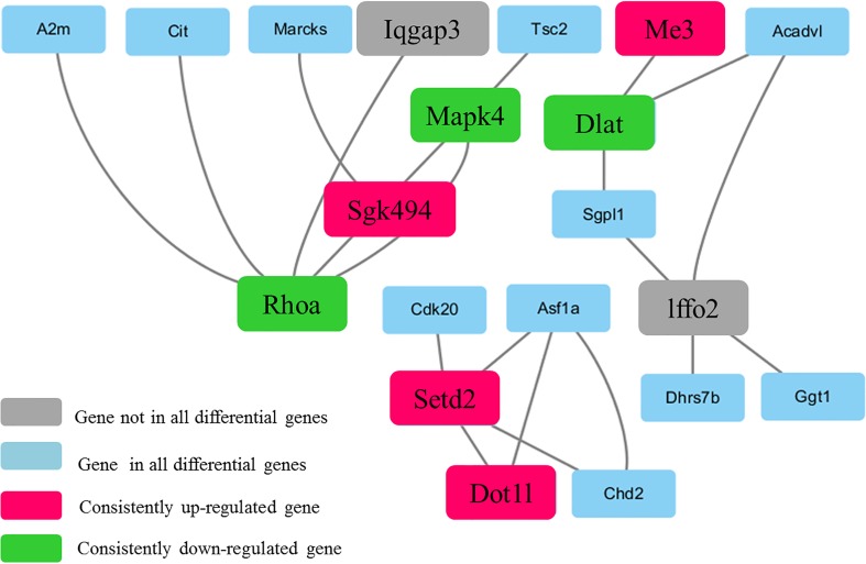 Fig 6