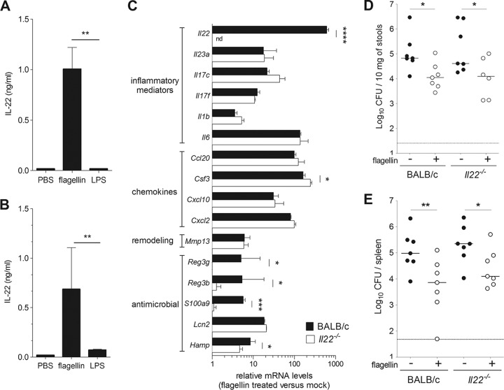 FIG 6