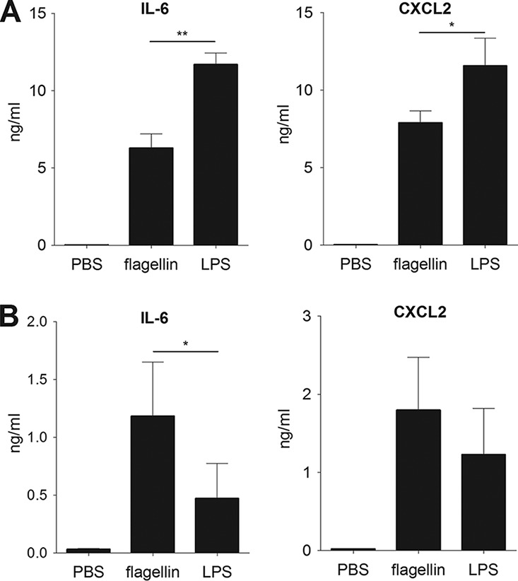 FIG 2