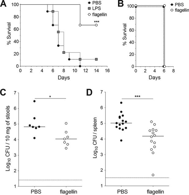 FIG 1