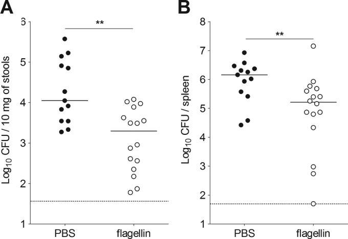 FIG 7