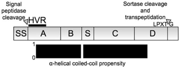 Fig. 12.1