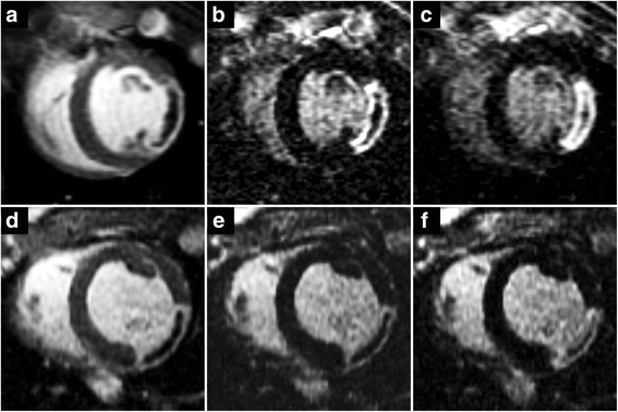 Fig. 5