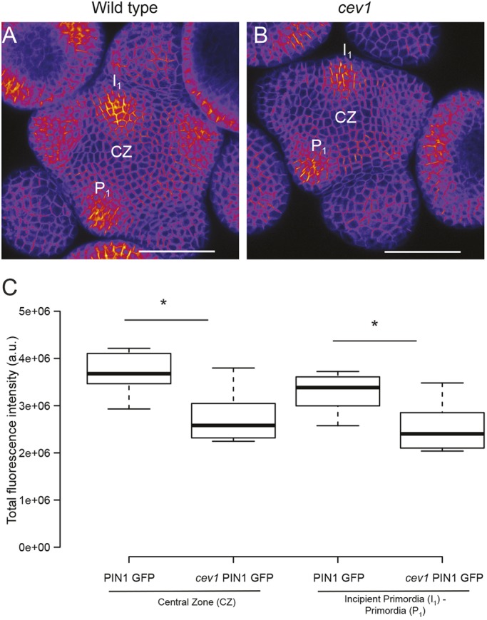 Fig. 5.