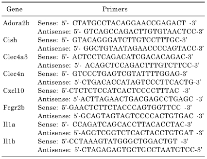 graphic file with name kjpp-15-23-i001.jpg