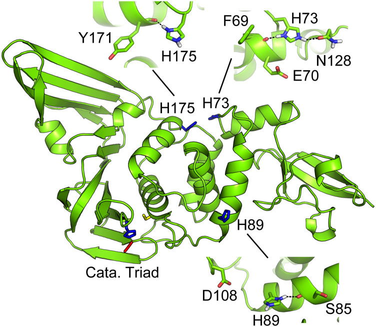 FIG. 7.