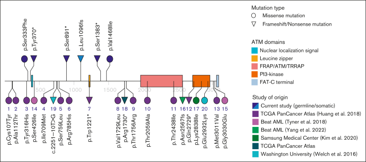 Figure 4.