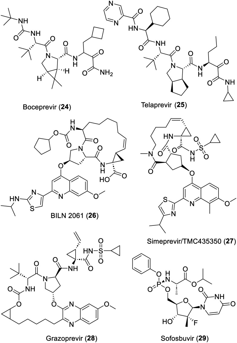 Fig. 5