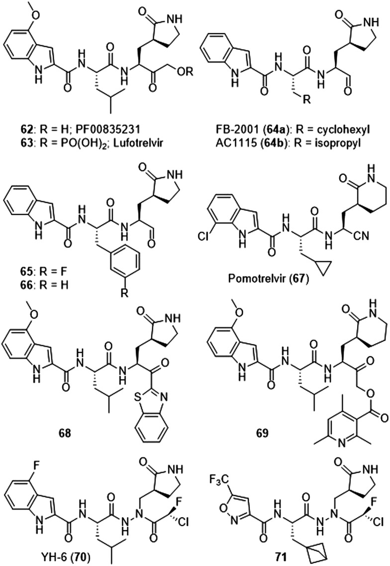 Fig. 10