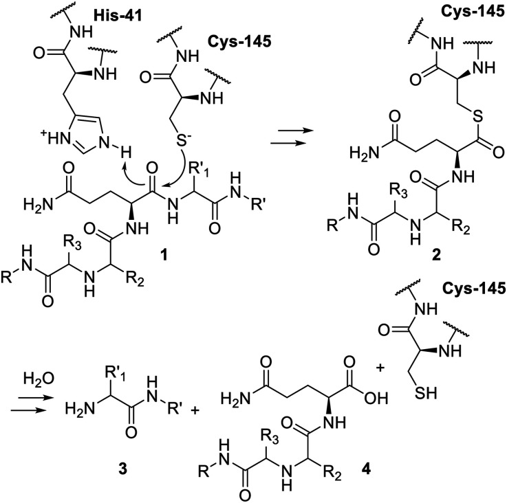 Scheme 1